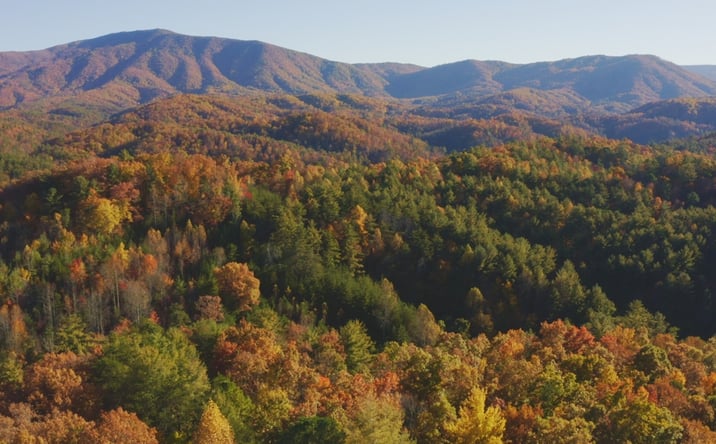 Pictures of Land property located at 410 Seay Hollow Rd, Del Rio, TN 37727 for sales - image #1