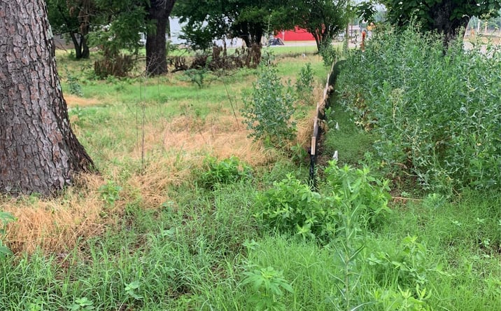 Pictures of Land property located at Hide-A-Way Road, Thackerville, OK 73459 for sales - image #1