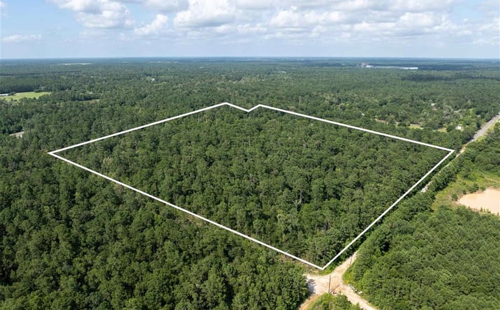 Pictures of Land property located at Wimberly Drive, Vinton, LA 70668 for sales - image #1