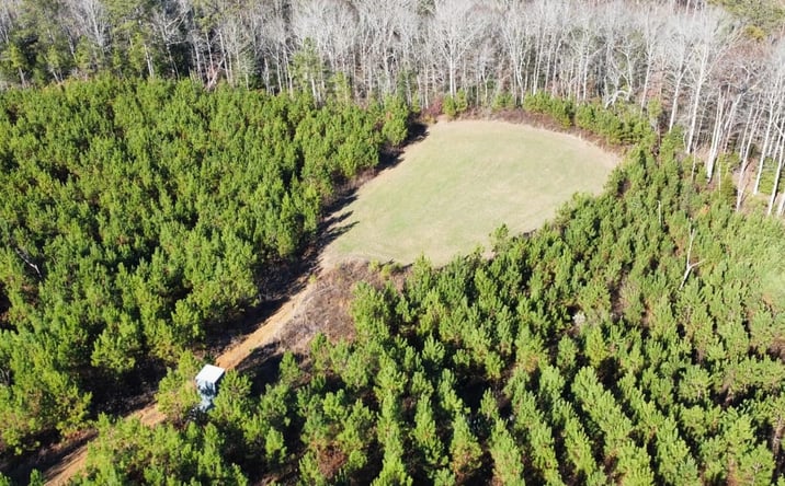 Pictures of Land property located at 000 N Co Hwy 128, Winfield, AL 35594 for sales - image #1