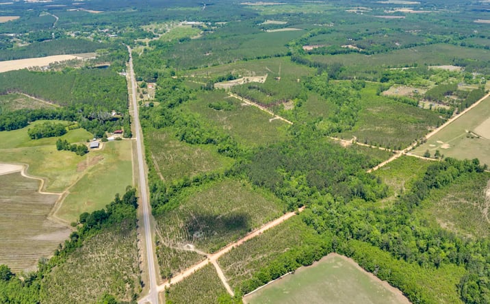 Pictures of Land property located at HWY 126, Rockledge, GA 30454 for sales - image #1