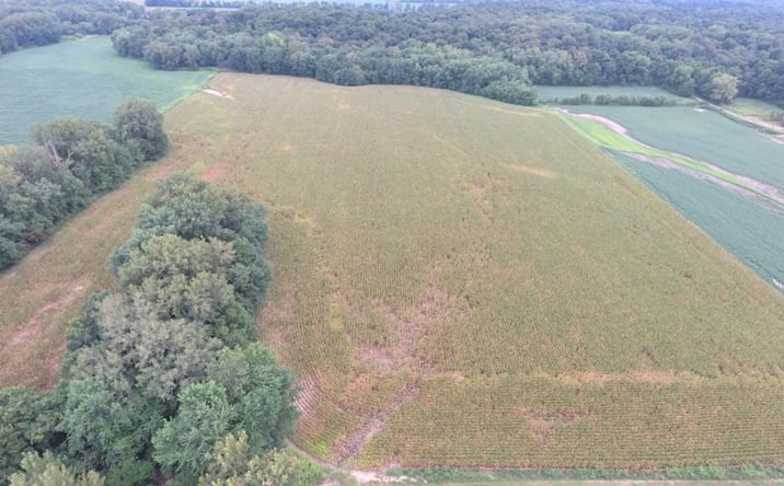 Pictures of Land property located at 6200 E 1600th Ave, Newton, IL 62448 for sales - image #1