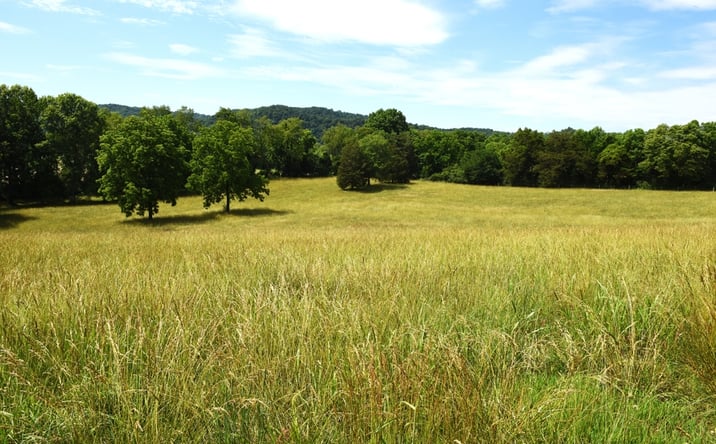 Pictures of Land property located at 6295 Irish Bottom Road Tract #3, Burkesville, KY 42717 for sales - image #1