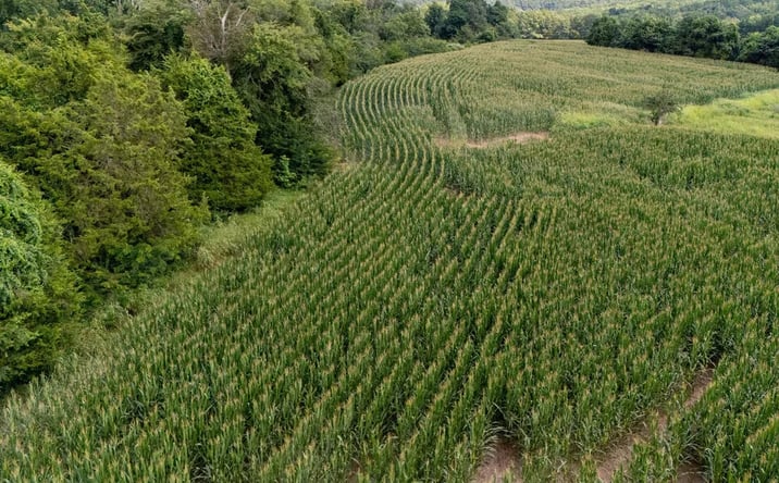 Pictures of Land property located at 000 Shiloh Rd, Cobden, IL 62920 for sales - image #1