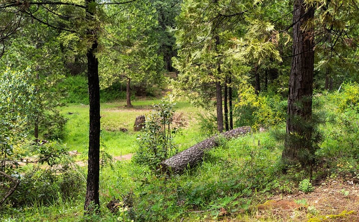 Pictures of Land property located at 21324 Aqueduct Cir, Pine Grove, CA 95665 for sales - image #1