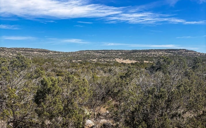 Pictures of Land property located at Tract 11 Eastwood Road, Comstock, TX 78837 for sales - image #1