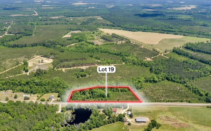 Pictures of Land property located at HWY 126, Rockledge, GA 30454 for sales - image #1