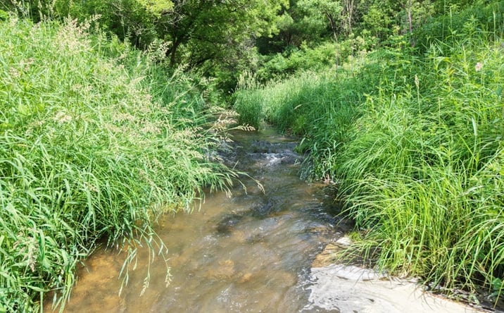 Pictures of Land property located at E12950 County Road D, La Farge, WI 54639-8511 for sales - image #1