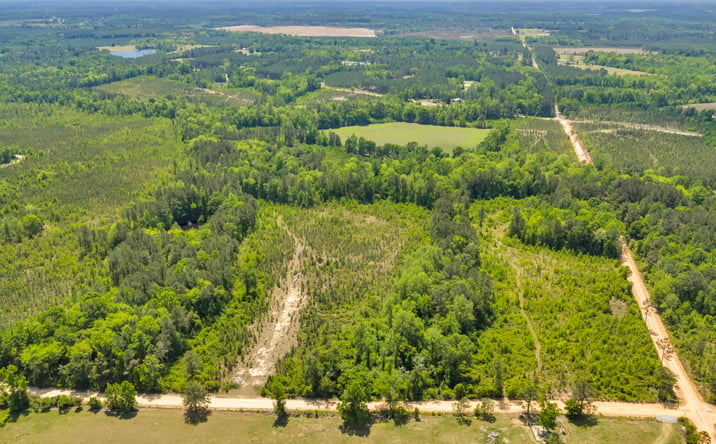 Pictures of Land property located at Graham Lane, Rockledge, GA 30454 for sales - image #1