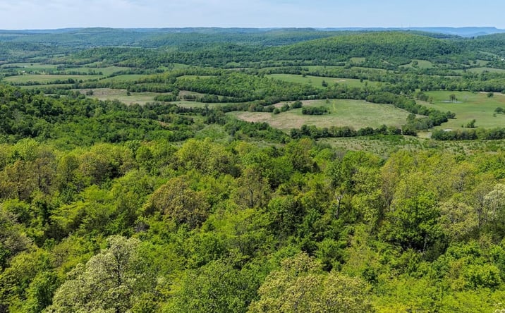 Pictures of Land property located at 952 Maple Grove Rd, Marshall, AR 72650 for sales - image #1