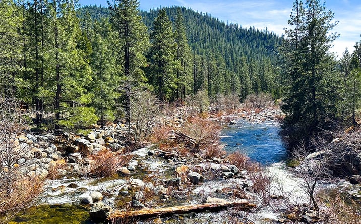 Pictures of Land property located at 79402 State Highway 3, Trinity Center, CA 96091 for sales - image #1
