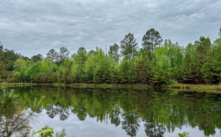 Pictures of Land property located at 00 Beaudry Circle, Jessieville, AR 71949 for sales - image #1
