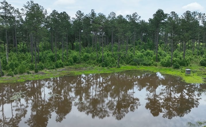 Pictures of Land property located at TBD County Road 2468, Douglassville, TX 75560 for sales - image #1