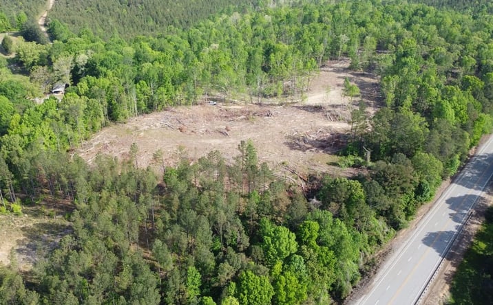 Pictures of Land property located at 000 County Road 357, Natural Bridge, AL 35565 for sales - image #1