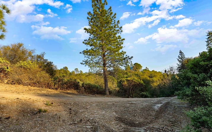Pictures of Land property located at Ridgeview Cir, Sutter Creek, CA 95219 for sales - image #1