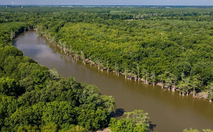 Pictures of Land property located at 00 County Road 57, De Valls Bluff, AR 72041 for sales - image #1