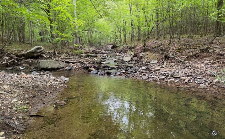 Pictures of Land property located at 00 E Grand Ave, Hot Springs National Park, AR 71901 for sales - image #1