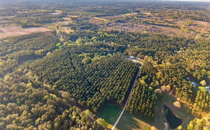 Pictures of Land, Special Purpose property located at Gravel Pit Rd, Sandy Hook, MS 39478 for sales - image #1