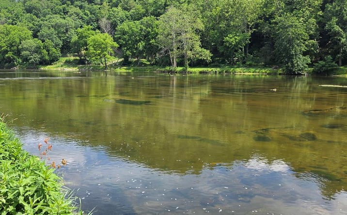Pictures of Land property located at 3745 New River Pkwy, Independence, VA 24348 for sales - image #1