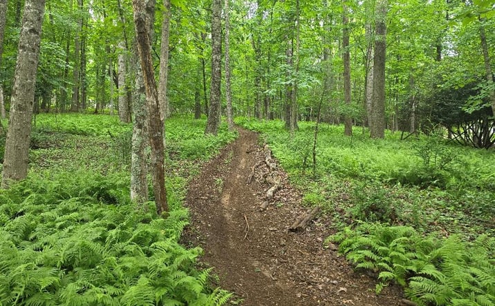 Pictures of Land, Multifamily property located at TBD Starmount Ln, Galax, VA 24333 for sales - image #1