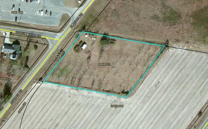 Pictures of Land property located at 11 Antioch Rd, Adel, GA 31620 for sales - image #1