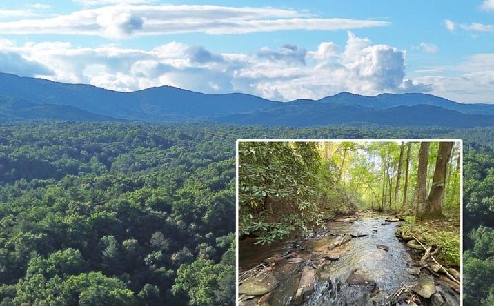 Pictures of Land property located at Lot 18 Mt. Springer Road, Ellijay, GA 30540 for sales - image #1
