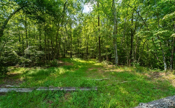 Pictures of Land property located at 1 and 2 Blue Arrow Lane, Mineral Bluff, GA 30559 for sales - image #1