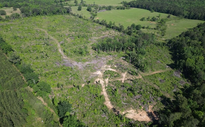 Pictures of Land property located at TBD CR 2729, Naples, TX 75568 for sales - image #1