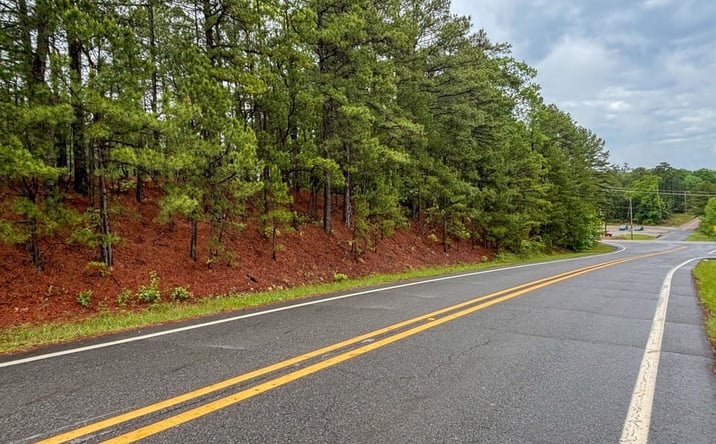 Pictures of Land property located at Little Blakely Creek Rd, Buckville, AR 71949 for sales - image #1