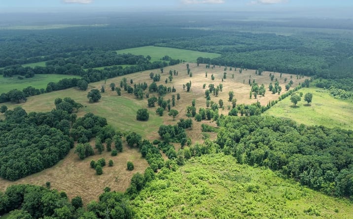 Pictures of Land property located at 4254 Goodwater Road, Haworth, OK 74740 for sales - image #1