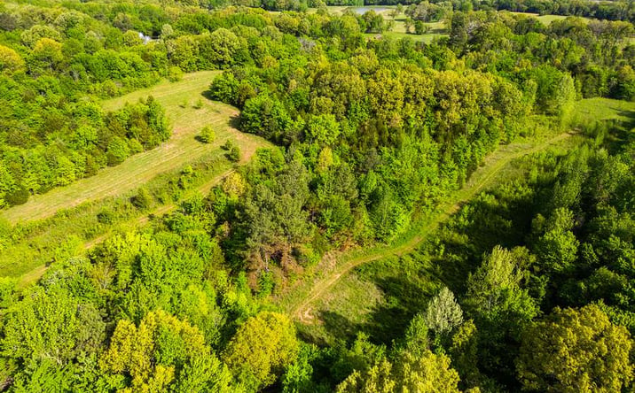 Pictures of Land property located at 0 US-79, Gadsden, TN 38337 for sales - image #1