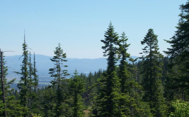 Pictures of Land property located at NNA Mellick Road, Post Falls, ID 83854 for sales - image #1