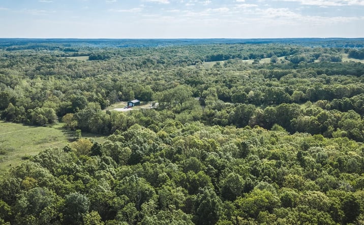 Pictures of Land property located at 80 acres off Highway FF, Edgar Springs, MO 65462 for sales - image #1