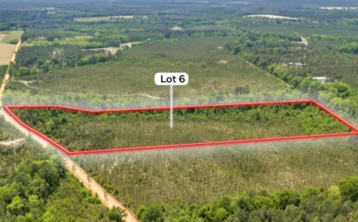 Pictures of Land property located at Snow Hill Church Road, Dudley, GA 31022 for sales - image #1