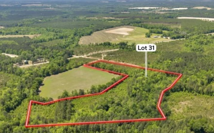 Pictures of Land property located at Snow Hill Church Road, Dudley, GA 31022 for sales - image #1