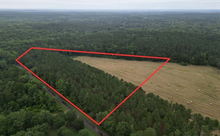 Pictures of Land property located at TBD CR 4565, Bivins, TX 75555 for sales - image #1