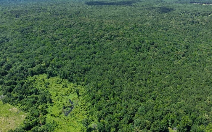 Pictures of Land property located at 00 Deer Run Ranch, Clarksville, TX 75426 for sales - image #1