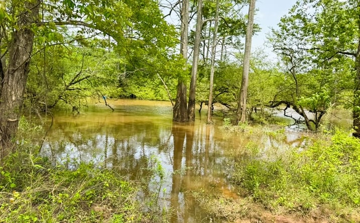 Pictures of Land property located at Jefferson Lincoln County Line Road, Star City, AR 71667 for sales - image #1