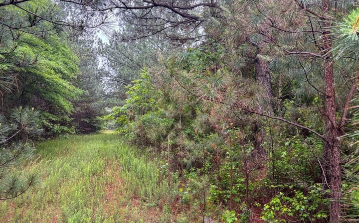 Pictures of Land property located at 00 Newkirk Circle, Jessieville, AR 71949 for sales - image #1
