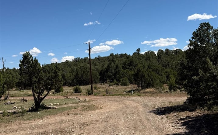 Pictures of Land property located at 174 Hidden Valley Ranch Rd, Ilfeld, NM 87538 for sales - image #1