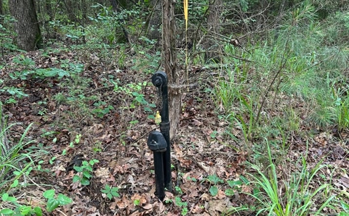 Pictures of Land property located at TBD CR 2341, Douglassville, TX 75560 for sales - image #1