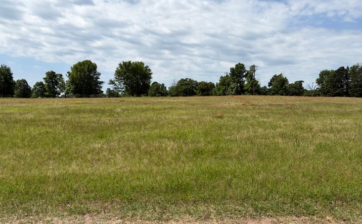Pictures of Land property located at TBD Zinnia RD, Diana, TX 75640 for sales - image #1