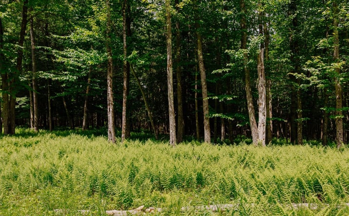 Pictures of Land property located at TBD Church Lake Road, Livingston Manor, NY 12758 for sales - image #1