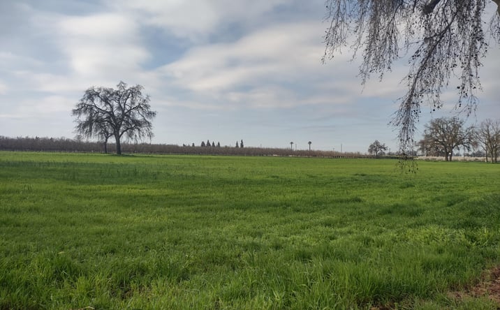 Pictures of Land property located at Lovers Lane, Visalia, CA 93292 for sales - image #1