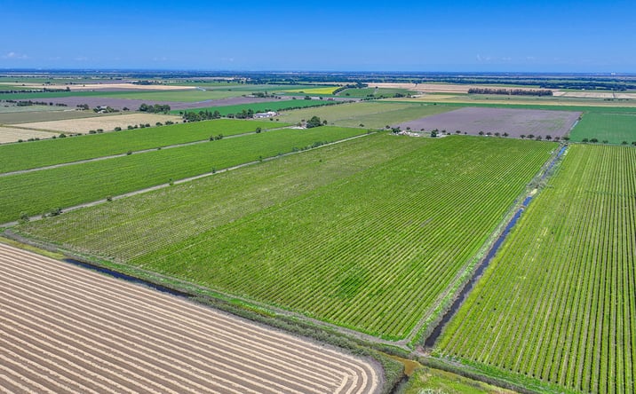 Pictures of Land property located at 37830 Jefferson Blvd, Clarksburg, CA 95612 for sales - image #1