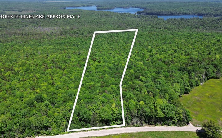 Pictures of Land property located at Lot 2 Martins Ridge Road, Franklin, ME 04634 for sales - image #1