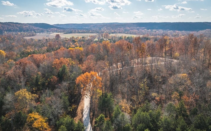 Pictures of Land property located at 000 Highway 21, Lesterville, MO 63654 for sales - image #1