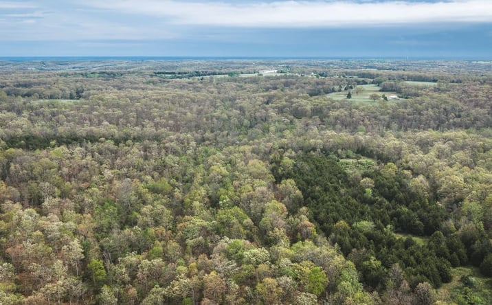 Pictures of Land property located at 000 Cleavesville Road, Bland, MO 65014 for sales - image #1