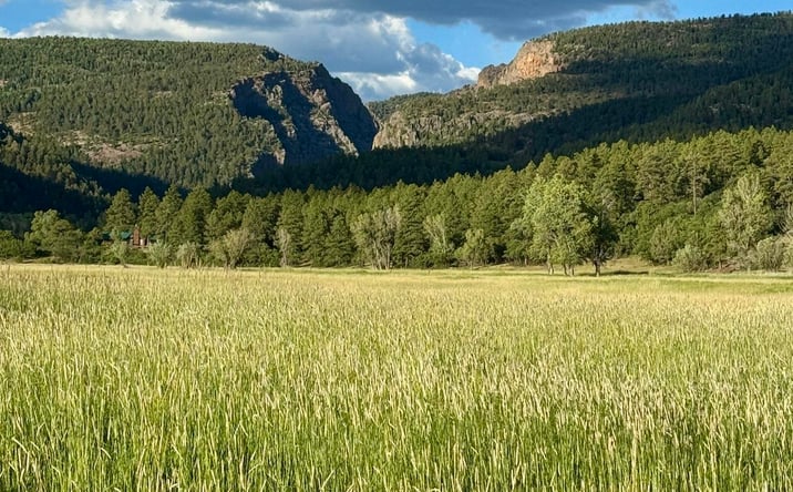 Pictures of Land property located at TBD Pd 1788 Road, Chama, NM 87520 for sales - image #1