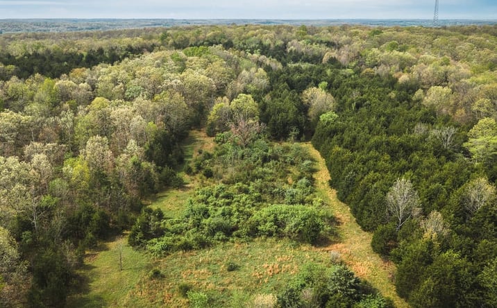 Pictures of Land property located at 000 Cleavesville Road, Bland, MO 65014 for sales - image #1